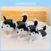 Husky Plush Toy Cartoon Stuffed Animal Doll Sleep Decoration Kids Birthday Gift