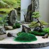 1 Bottle Fake Green Moss 125g Artificial Moss for Potted Plants Static Grass Powder Crafts Simulation Landscape Model Grass