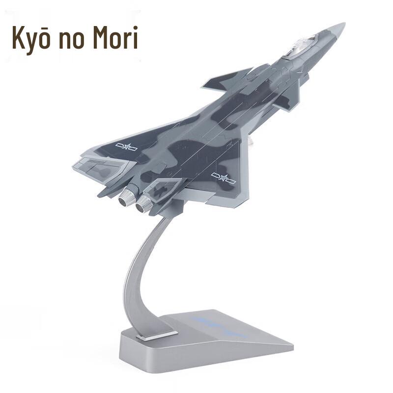 Jing Zhi Sheng J-20 Fighter Jet Alloy Model