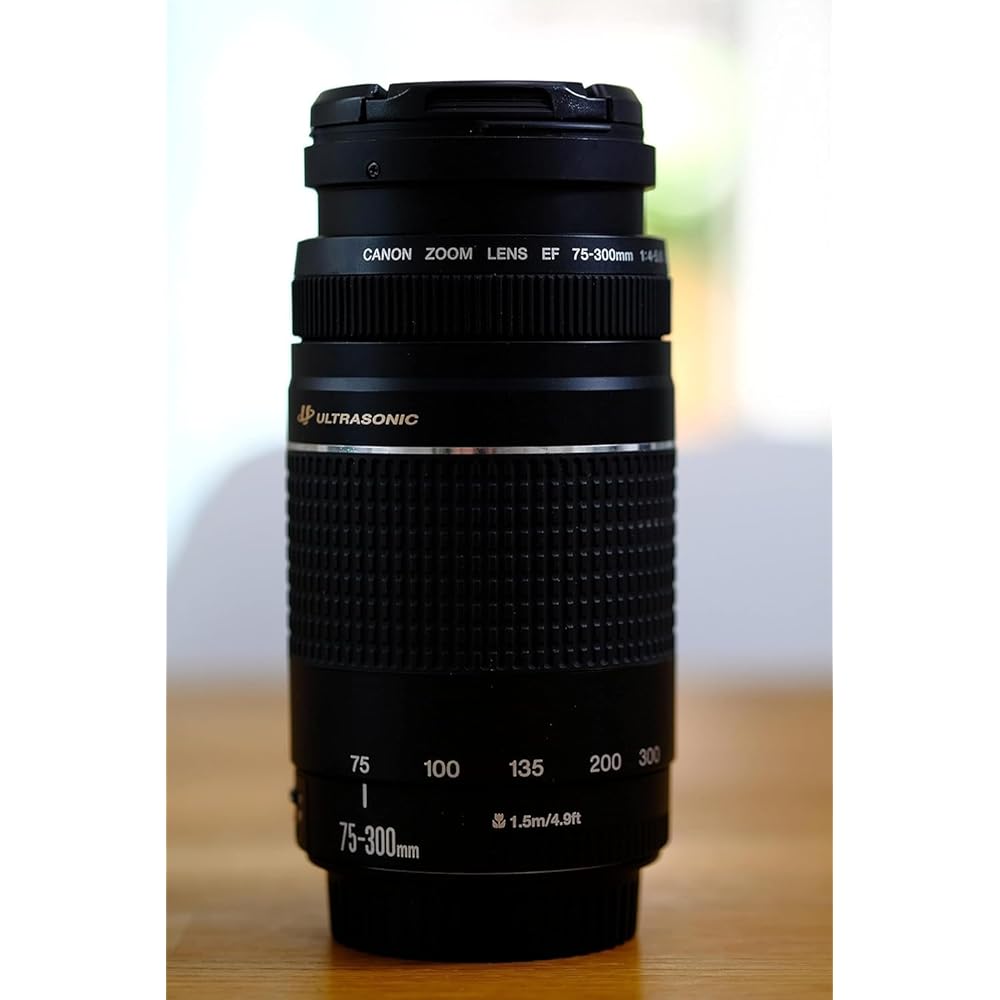 Canon EF Lens EF75-300mm F4-5.6 III Zoom Lens Telephoto Parallel Imported Product Black