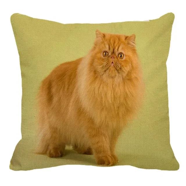 Persian Cat Linen Pattern Double-sided Printed Pillow Cover Short Plush Suitable Living Rooms Bedrooms Sofas Throw Cushion Cover