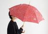 Made In Isa Pattern Long Suitable for Both Sunny and Rainy Japanese Komiya Shoten Japan, Umbrella, 50cm, Women's, Days, Pattern, (Chrysanthemum)