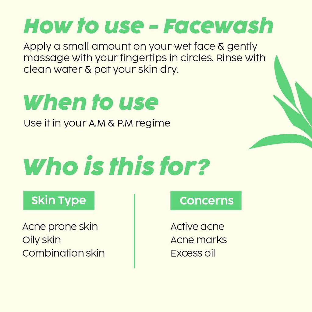 The Plant Fix Plix Jamun Cleanser Salicylic Acid Serum Smoothie Moisturizer Combo For Clear Balanced Skin All Types