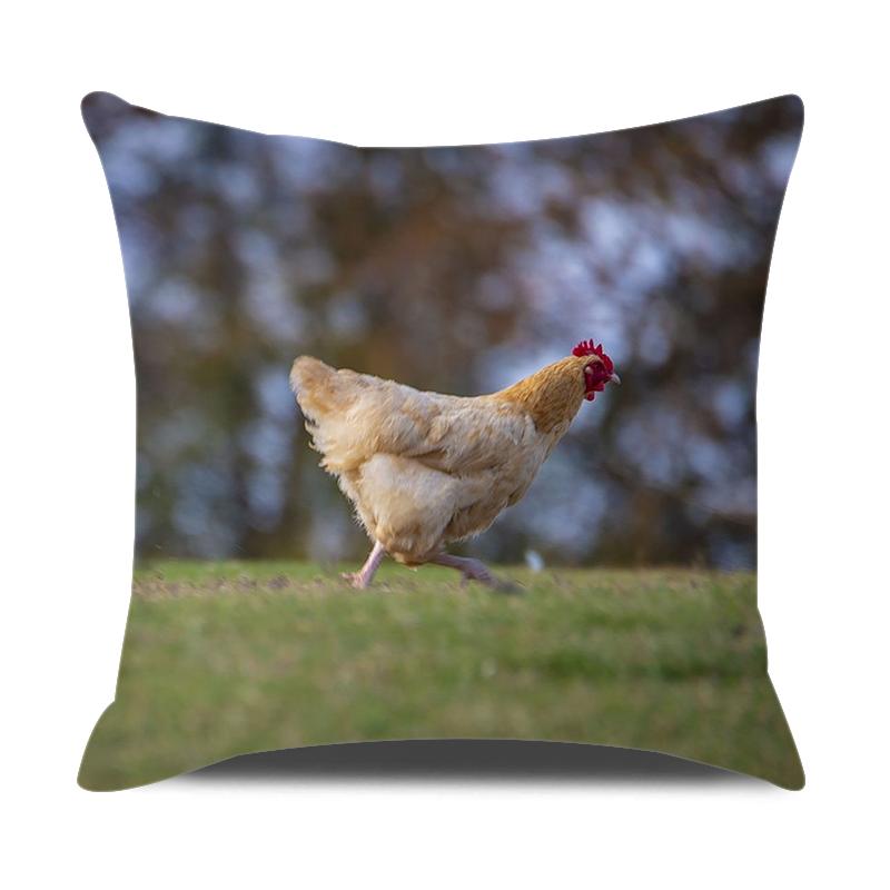 Animals Cushion Cover 18x18 Inches Throw Pillow Case Cow Sheep Donkey Pig Printed Pillow Cover Farmhouse Home Decor Cushion Case