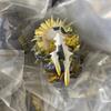 Pokemon Action Figure TCG Arceus Zacian Zamazenta Anime Model Ornament Bulk Children Toys
