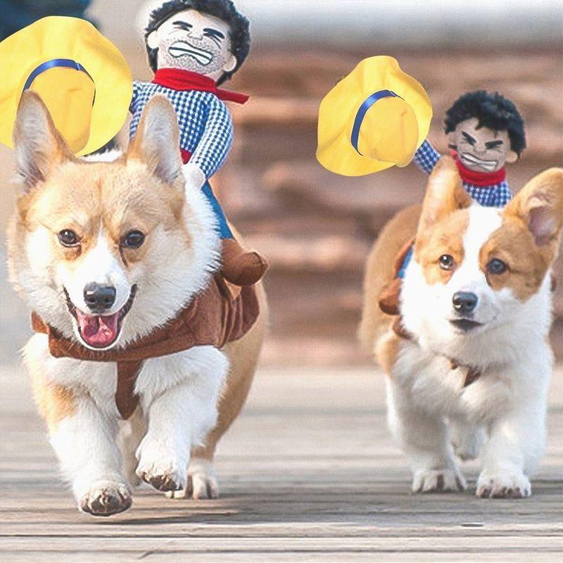 

Креативный забавный костюм для верховой езды для питомца, джинсовая одежда рыцаря, забавная одежда для питомца, одежда для собаки, товары для питомцев Shopping worry-free S