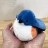 IWAYA Eco-Koeyacho (Rufous-tailed Robin) ST Mark, for Ages 3 and Up, Toy, Sound-making Plush Toy, Wind-up Toy, No Charge Required.