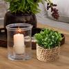 Green Simulated Potted Plants 11cm Artificial Decorations Fashion Artificial Plants  Home Decor