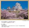 Yanoman in Jigsaw Japanese Thousand Cherry Blossoms and Himeji Castle Includes a piece request a a service and a jigsaw puzzle instruction (Yanoman)