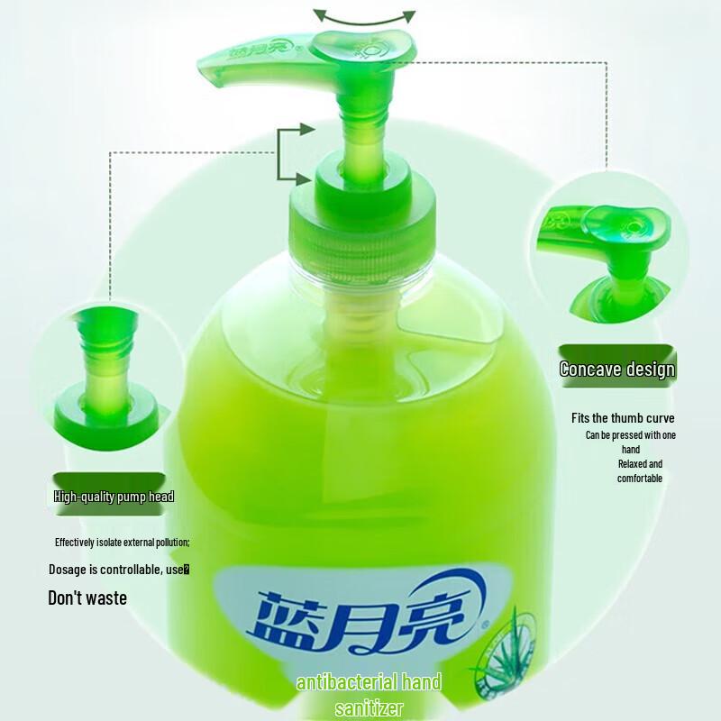 Blue Moon Wild Chrysanthemum & Aloe Hand Wash