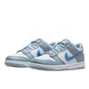 Nike Dunk Low Hologram