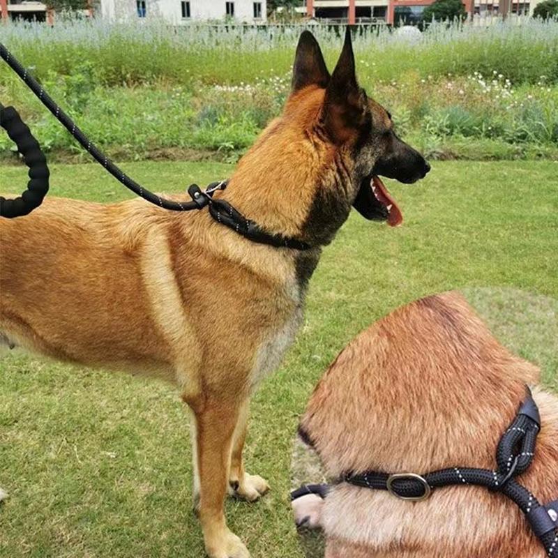 Reflective Pad Big Dog Leash for Training Walking Pet P Chain for Medium Large Dogs Malinois Collie Leashes Mascotas Accessories