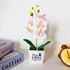 Retro Potted Phalaenopsis Plant Effortless Beauty for Your Living Space