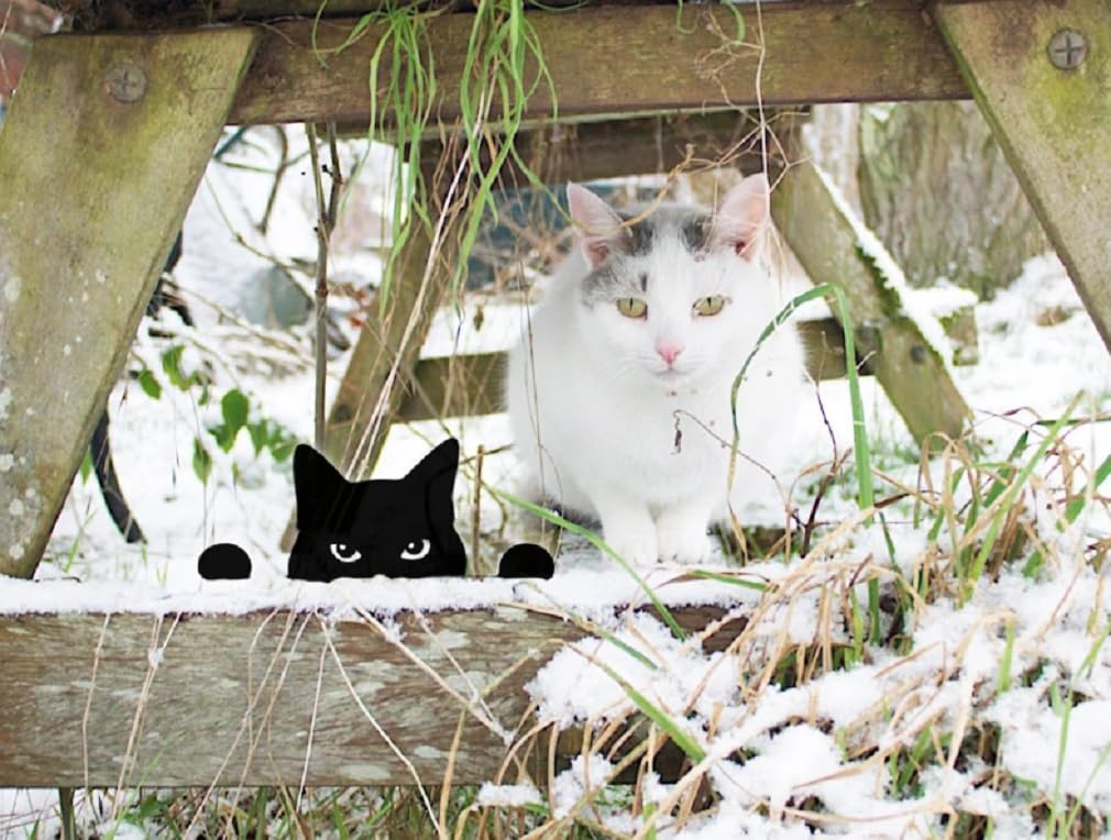 Kaimed Cat Welcome Plate Garden Object Cat Gardening Object Cute Gardening Ornament Miscellaneous Cat Gardening Goods Plate Interior Gardening