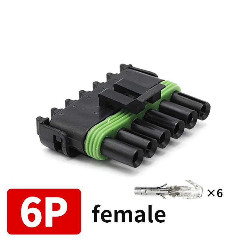 Delphi 2.5 Serie Automobil Wasserdichter Stecker 1/2/3/4/6-Pin Stecker und Buchsen Haltech MAP TPS Kabelstecker für GM