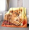 Custom Name Lion Cub Name Flannel Blanket Throw Blanket Soft Warm Sofa Bed home Decor Unique Gift