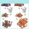Childrens Educational Animal And Insect Growth Cycle Pvc Earthworm Octopus Model Set For Kids Learning And Activities