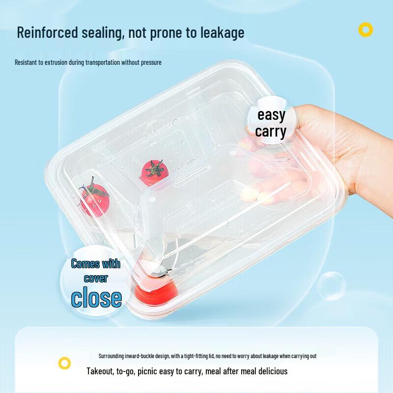 Einweg-Segmentierte Meal Prep Behälter mit Deckeln