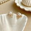 Korean Firework Pearl Stud Earrings for Women: Unique, Exquisite, Light Luxury Rhinestone-Inlaid Fashion Accessories.