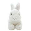 Knee Rabbit Plush Toy White S P-3782