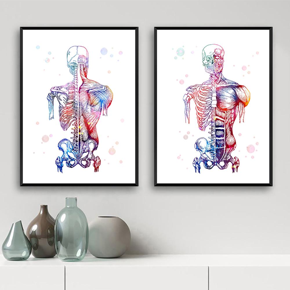Human Skeleton Medical Anatomy Diagram Decorative Painting Limbs Structure Diagram Poster Room Wall Art Prints Modern Home Decor No Frame