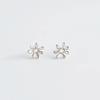 Silver 925 Winter Star Earring