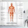 Hot New Periodic Table of Elements Shower Curtains Waterproof 3D Print White Fabric Bath Curtain for Bathroom Decor with Hooks