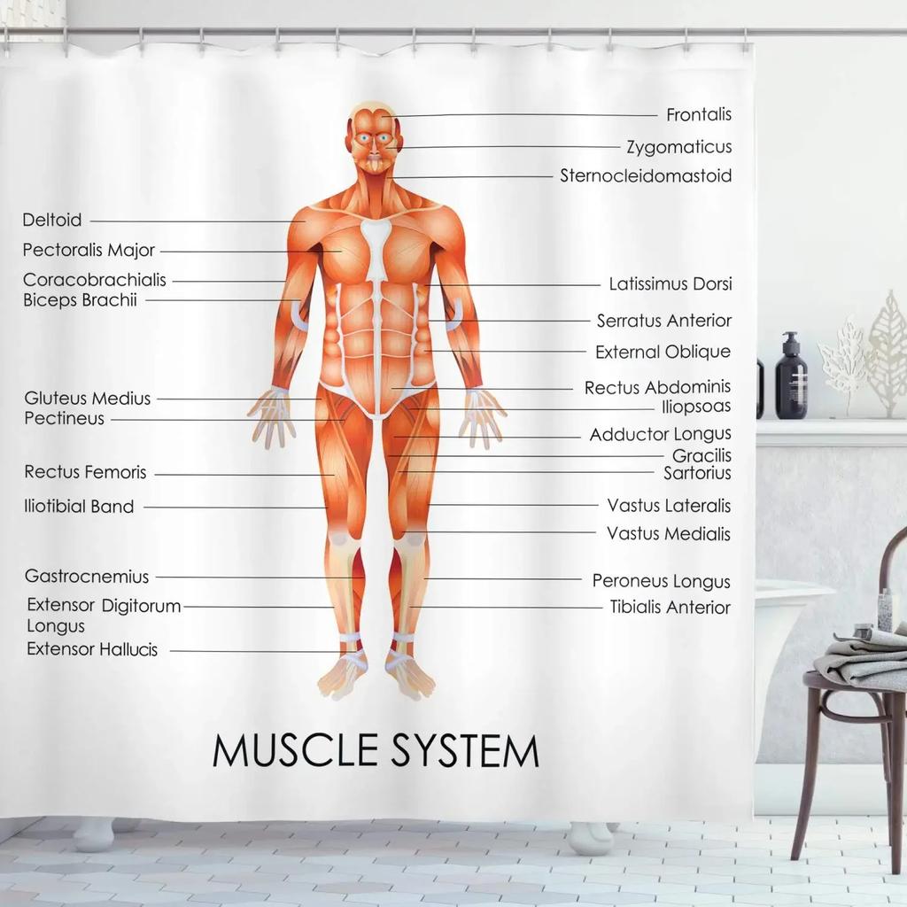 Hot New Periodic Table of Elements Shower Curtains Waterproof 3D Print White Fabric Bath Curtain for Bathroom Decor with Hooks