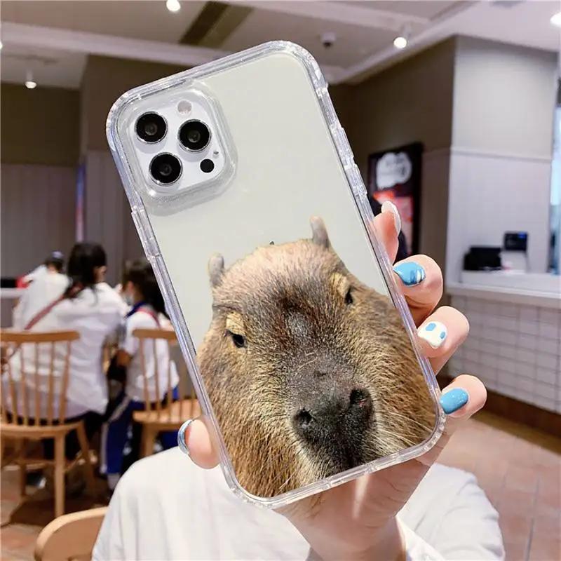 Cute Capybara Phone Case For iPhone 16 15 14 13 12 11 Pro Max Mini X Xs XR 7 8 Plus SE 2020 Transparent Case