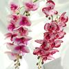 Artificial Butterfly Orchid Flower Bunch Fake Phalaenopsis Wedding Party Decor