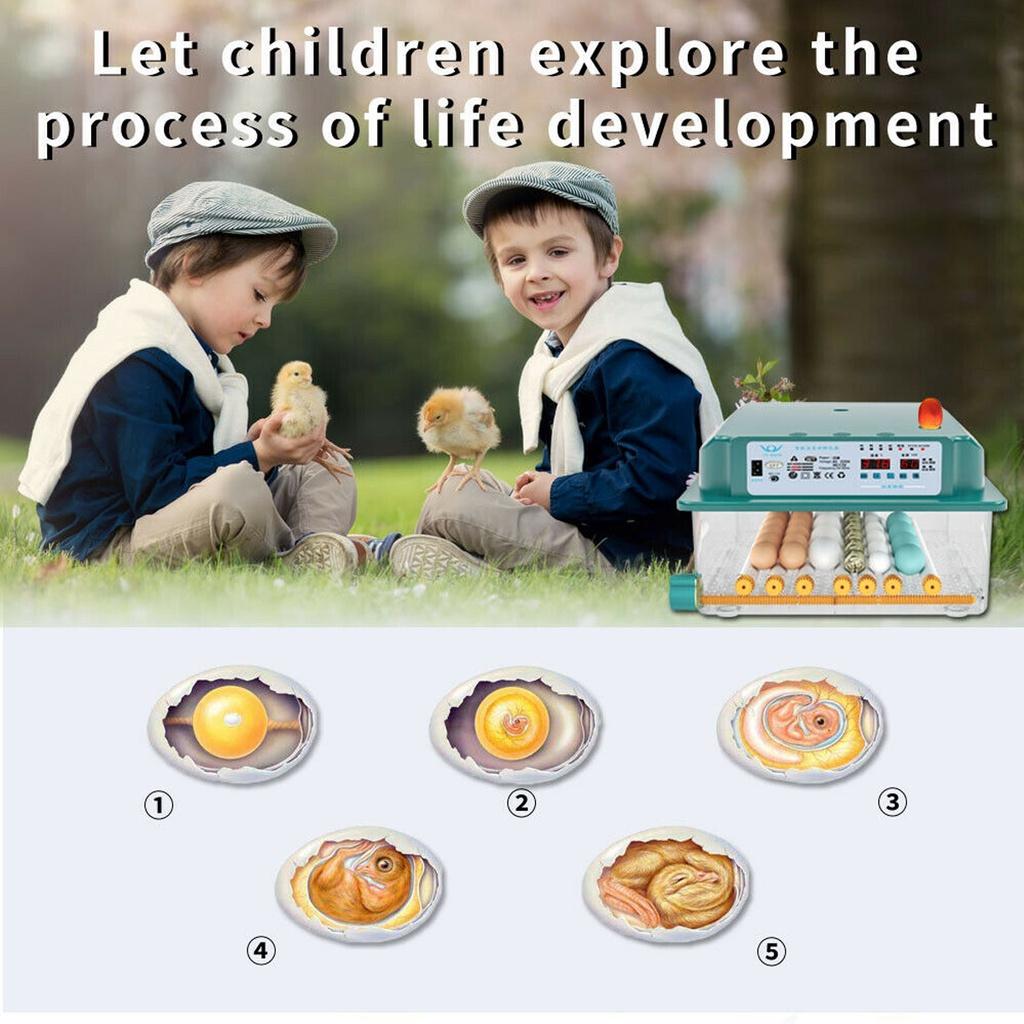 30W/35W 12/16/36 Egg Incubator Brooder Bird Quail Chick Hatchery Incubator Poultry Hatcher Turner Digital Automatic Farm Incubation Tool