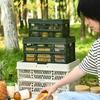 Große Kapazität Camping Picknickkorb Multifunktionell Faltbarer Campingkorb Picknicks