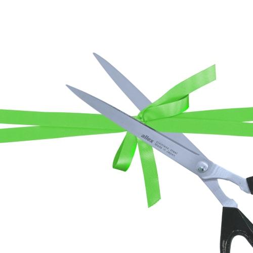 HAYBK Alex (ALLEX) Just Size Scissors, Small, 17112