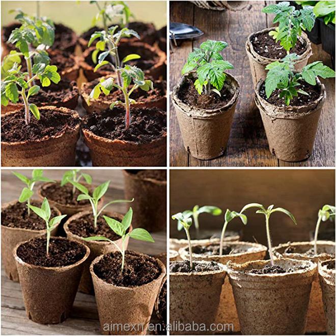 Dropshiping Peat Pots Seed Starter Trays Kits Biodegradable Organic Plant Starter Kit With 10Pcs Plant Labels,Sprinkler