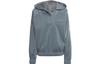Version High Shine Gender Neutral Hoodie HM9220