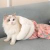 Geschlossener Schlafsack Katzennest im Winter Pastinake Warmer Tunnel Gefühl der Sicherheit Kann zerlegt und gewaschen werden Kätzchen Schlafsack