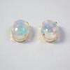 [New] K18 oval opal earrings [i11-1]