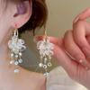 Silver needle zircon round water drop fringed earrings light luxury high-end earrings fashion versatile earrings design sense niche