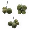 Fruit Ornament Artificial  Fake Simulated  Farmhouse Decorations