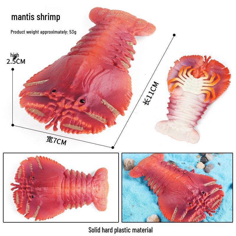 Marine Animal Simulation Models: Jellyfish, Octopus, Sea Shrimp, Sea Anemone, Squid, Horseshoe Crab, Crayfish, Arrowhead