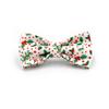 Adjustable Christmas Cat Collar with Cute Bell and Engraved Design