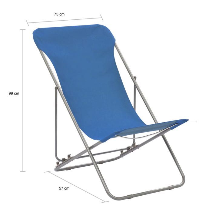 Chaise de plage - vidaXL - Pliable - Acier enduit de poudre - Tissu oxford - Lot de 2
