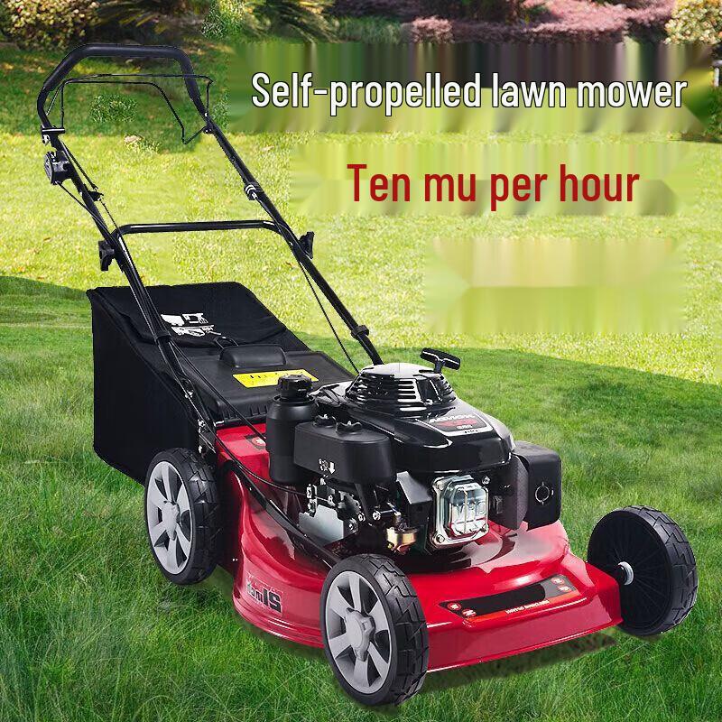 MKS QITAI Gasoline Lawn Mower