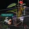 1pcs Plant Holder For Fish Tank Transparent Hangable Pot Cup Aquatic Plant Holder For Fish Tank Hydroponic System Indoor Home