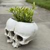 Gothic Style Gift Double Skull Flowerpot for Succulents Green Plants, Realistic Resin Planter, Small Pot Plant Halloween Party & Indoor Outdoor