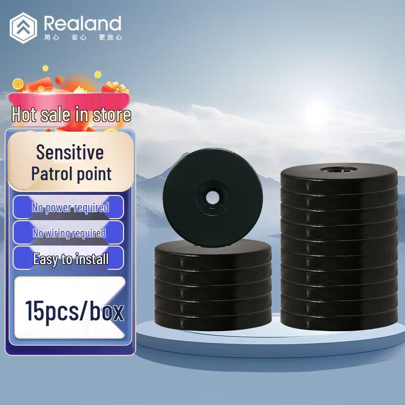 Realand RFID Security Guard Tour Patrol Point CN plug (adapter included)