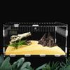 Insect Feeding Box Acrylic Clear Breeding Case for Spiders Reptiles Lizards Centipedes Small Snake 2 Size
