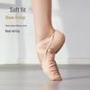 Women's & Men's Stretch Fabric Ballet Dance Shoes - Soft Sole, Cat Paw Design, Ideal for Yoga & Dance Practice