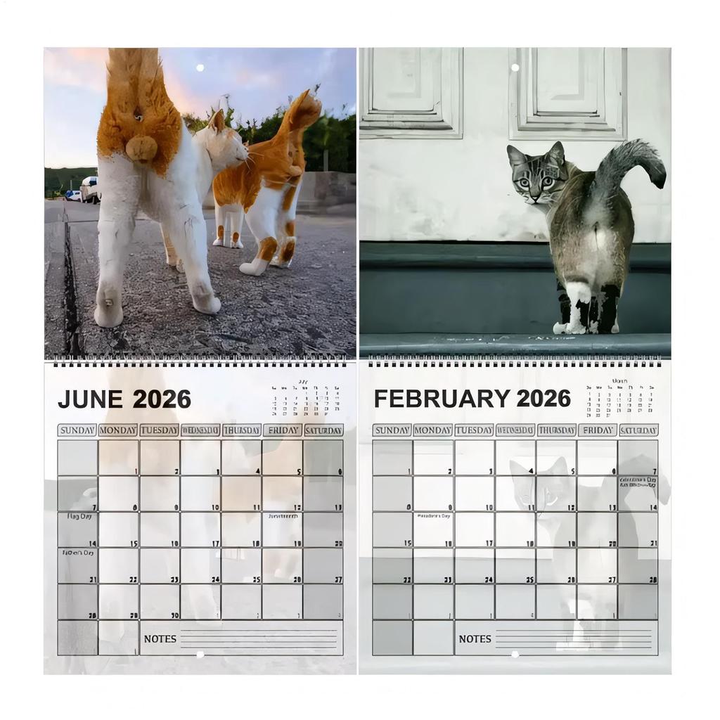2026 Cat Theme Wall Calendar 2026 Monthly Planner Organizer Scheduling Tool Wall Calendar Home Office School Wall Calendar