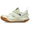 Acg Mountain Fly Low Gtx Se 'Sea Glass' Sneakers Casual Shoes DD2861-001